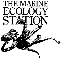 marine-ecology-station