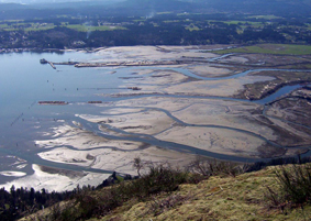 Cowichan Estuary Environmental Management Plan