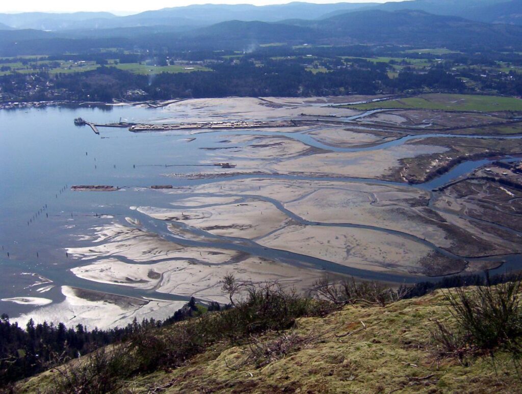 Cowichan Estuary Nature Centre